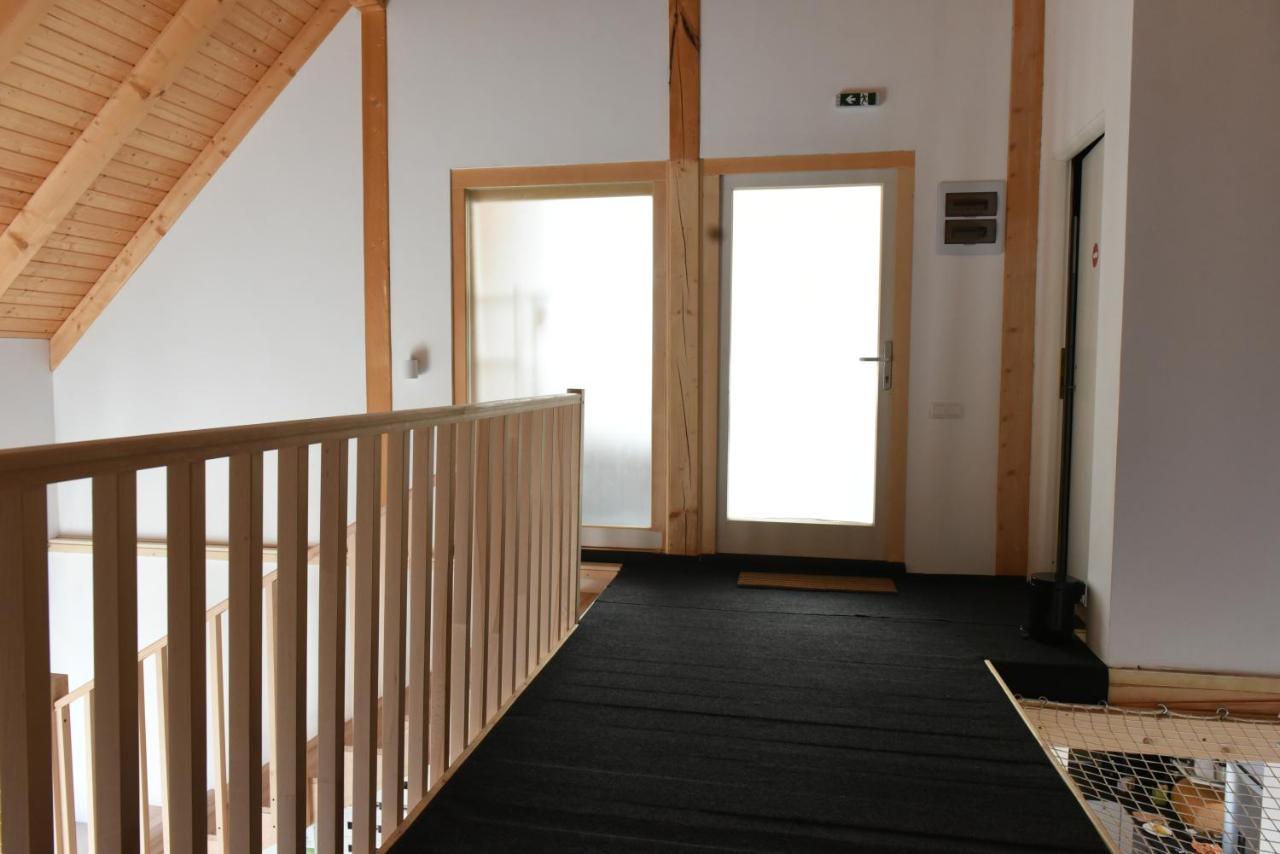 Aster Panzio Bed & Breakfast Cimpu Cetatii Exterior photo