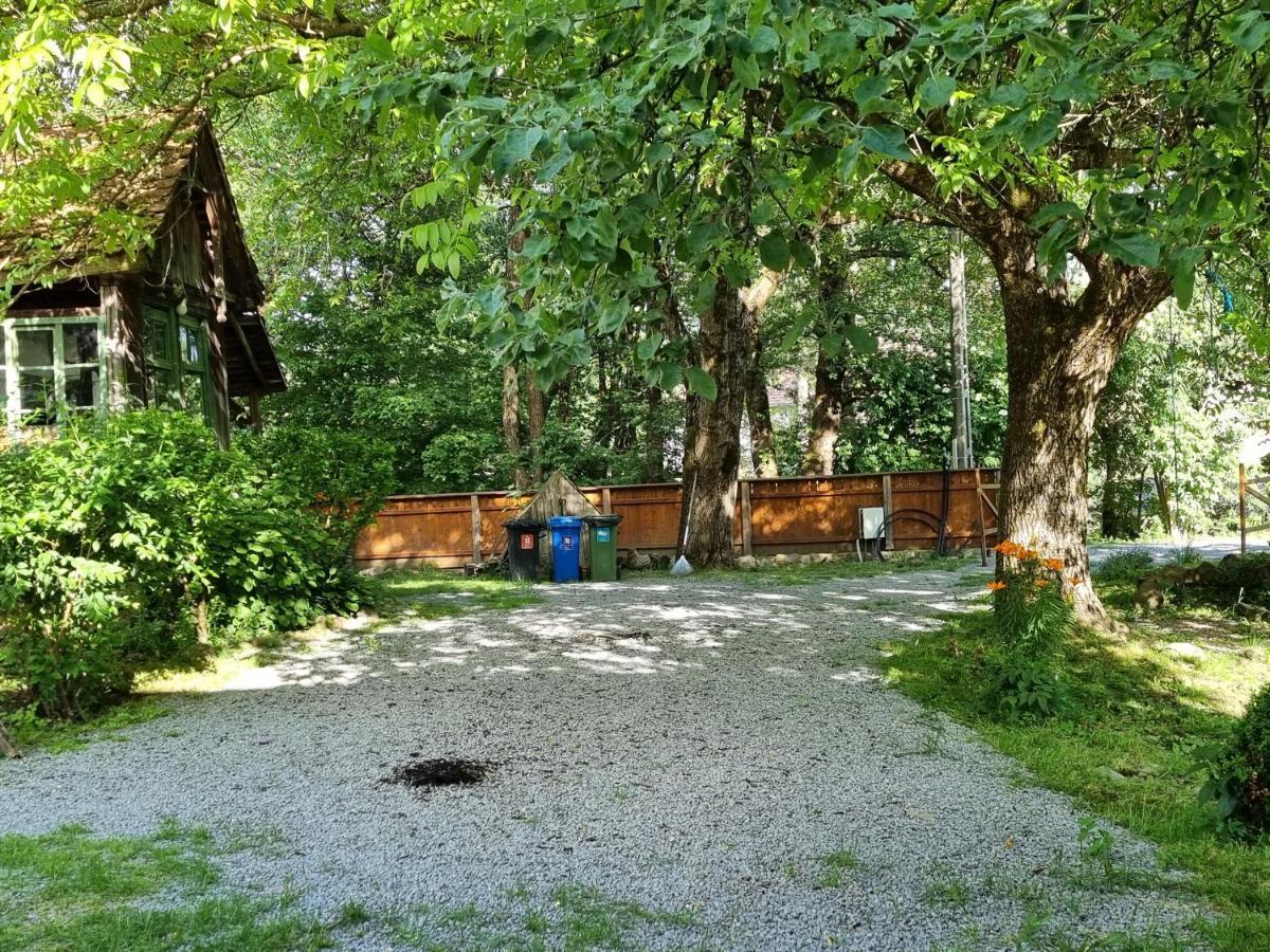 Aster Panzio Bed & Breakfast Cimpu Cetatii Exterior photo