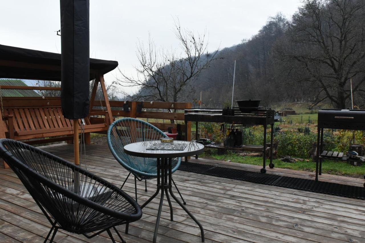 Aster Panzio Bed & Breakfast Cimpu Cetatii Exterior photo