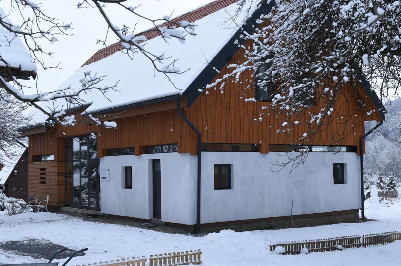 Aster Panzio Bed & Breakfast Cimpu Cetatii Exterior photo