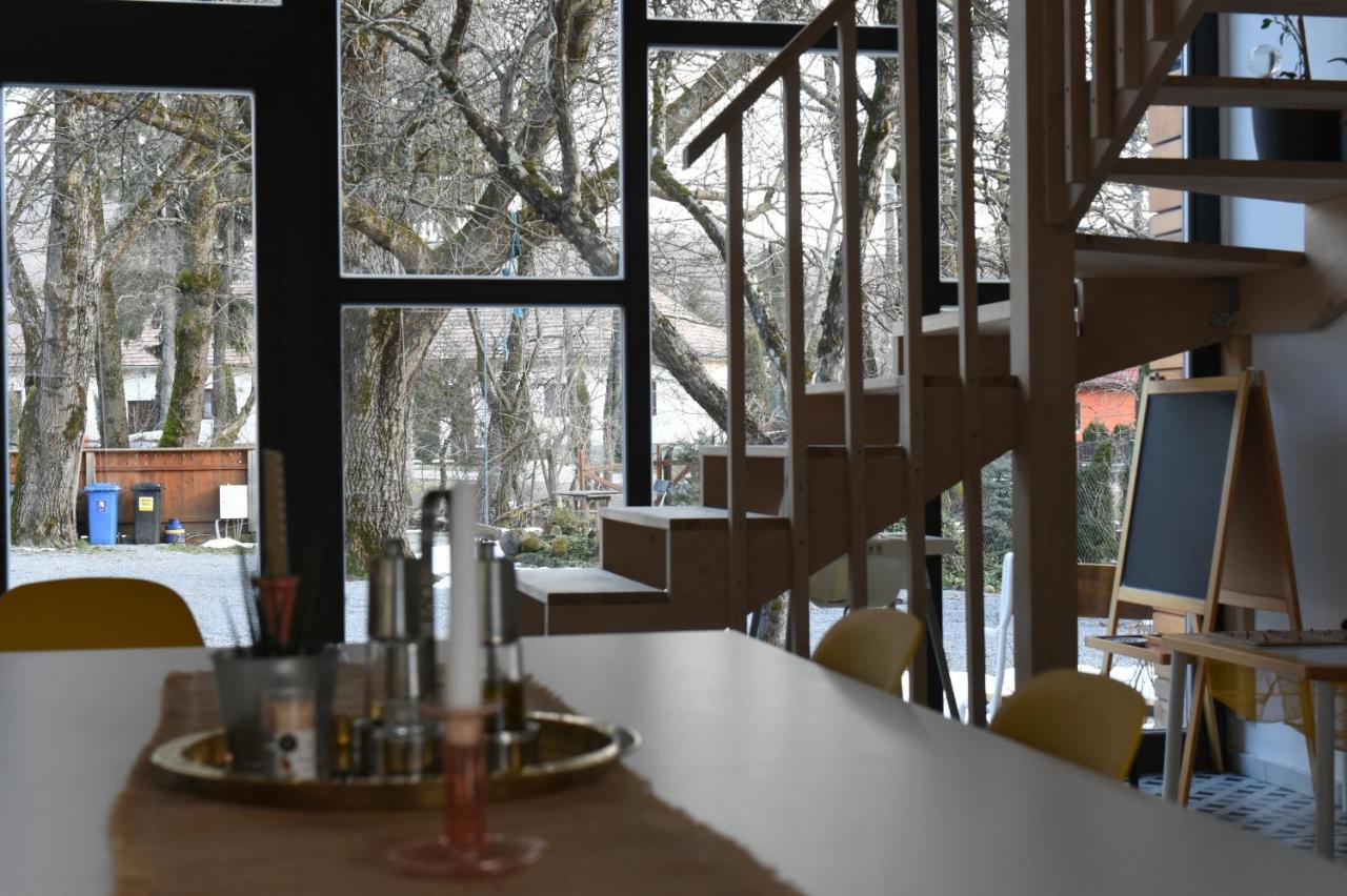 Aster Panzio Bed & Breakfast Cimpu Cetatii Exterior photo
